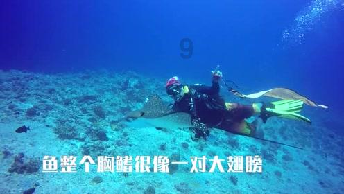 探寻奇妙世界，来在2019年环保级别国3的车会报废吗？问答交流吧！